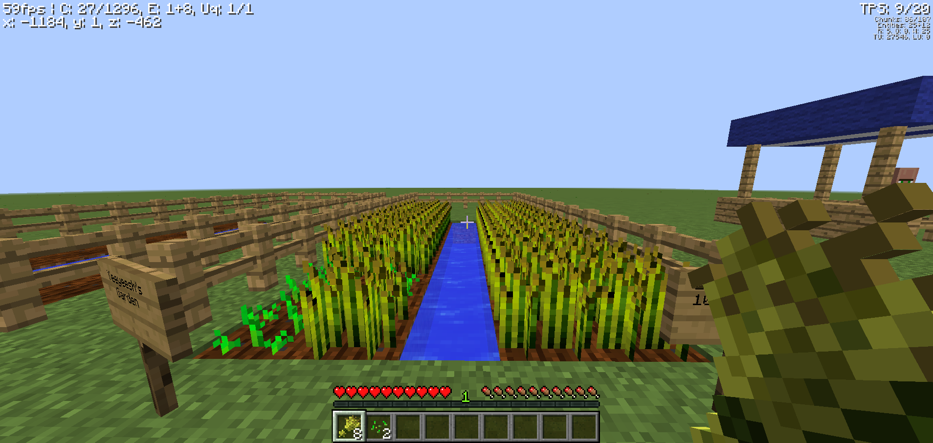 Wheat field with irrigation canal
